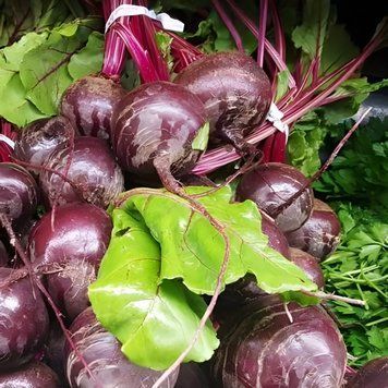 Семена Свеклы Борщевая (20г), Professional, TM GL Seeds 600046 фото