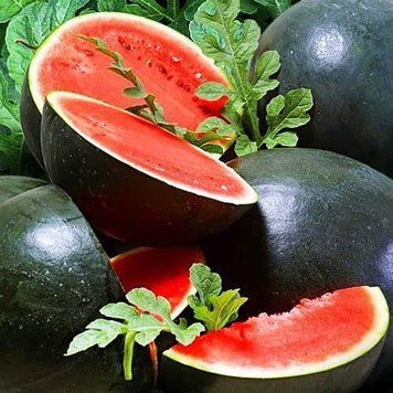 Кавун Ред Стар F1, 5 шт 400014 фото