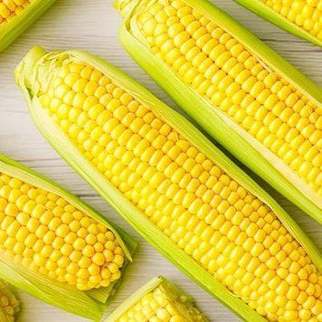 Семена Кукурузы Брусница (20г), Professional, TM GL Seeds 600010 фото